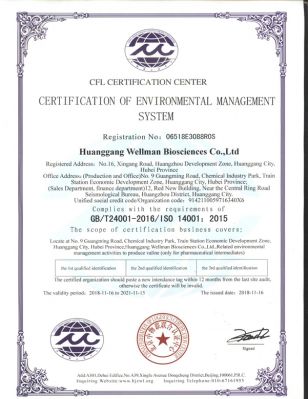 環境管理24001-2016(英文)